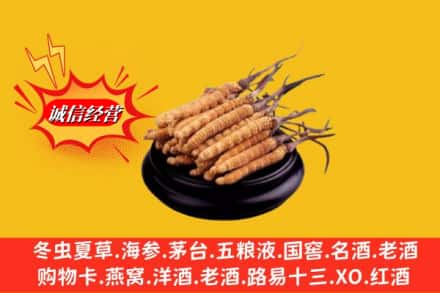 雅安市名山高价上门回收虫草多少钱每克